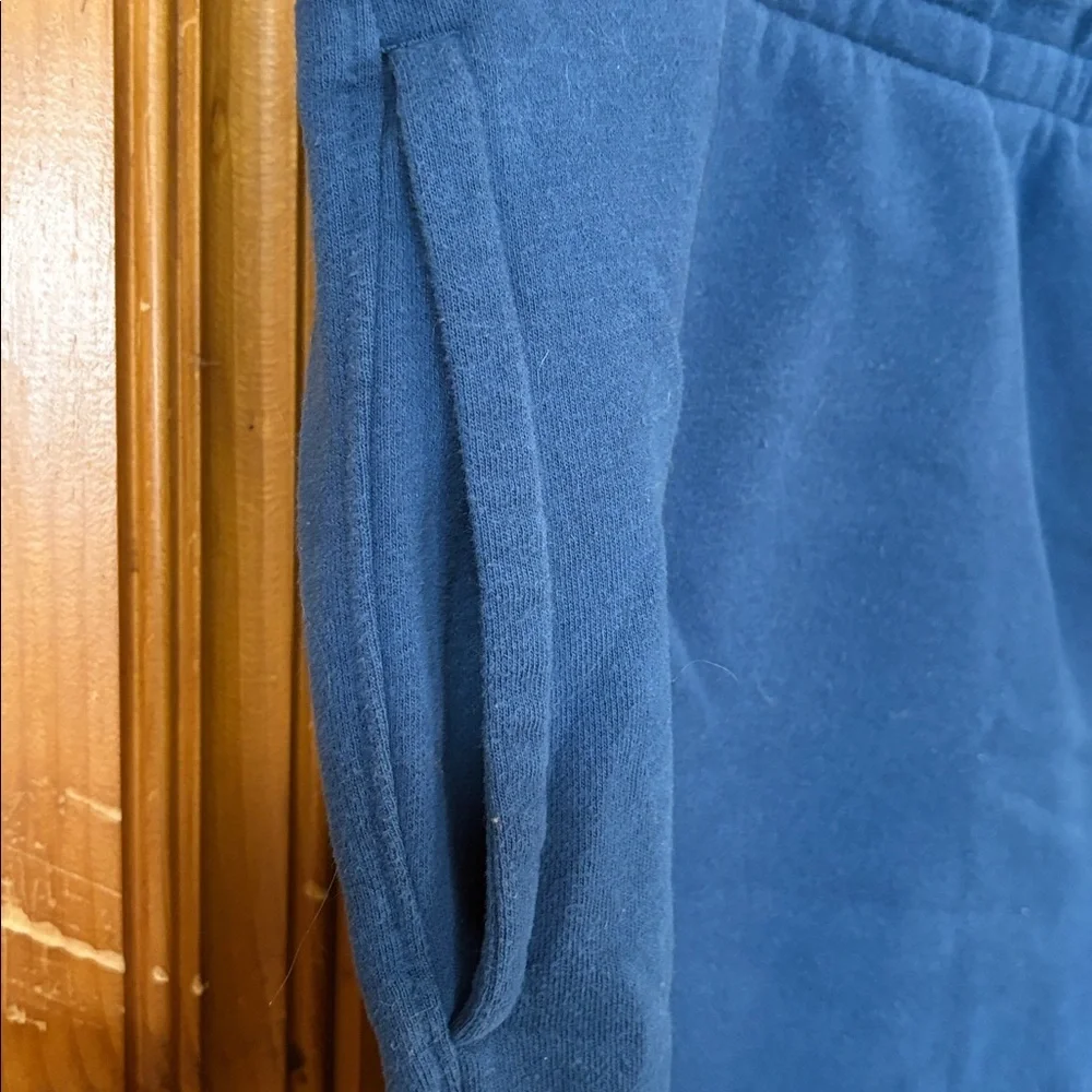 Goodfellow & Co Slate Blue Shorts